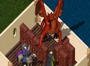再びDragonの飼育
